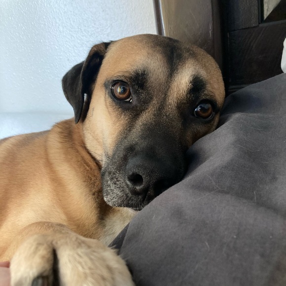 Meet your Posher, Jessica - Picture 1 of 1